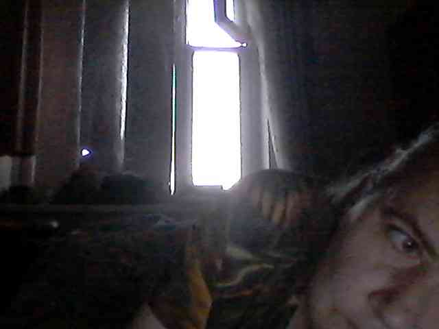 gannalets webcam