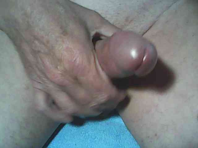 A5STAS Sex Cam Show