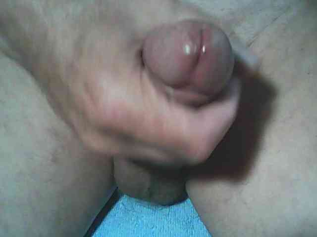 A5STAS Sex Cam Show