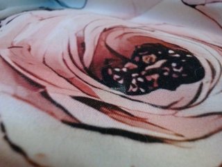 OXOTA-