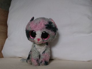 OXOTA-