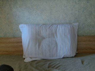 OXOTA-