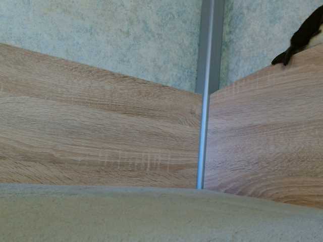 TvoyaIgrushka live cam on BongaCams