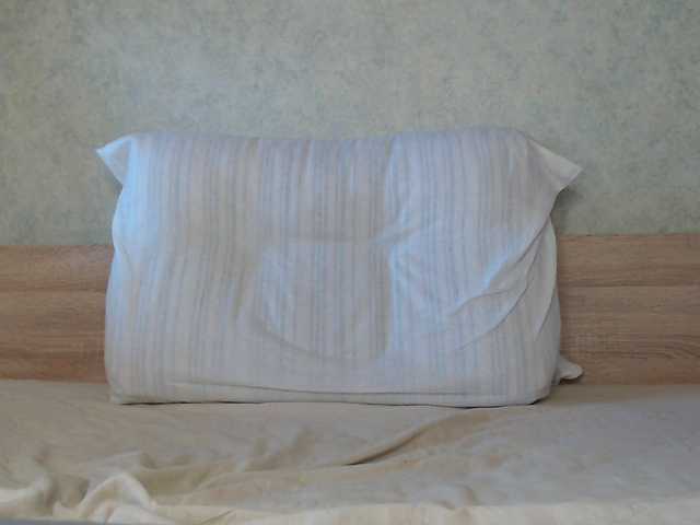 в попе у TvoyaIgrushka