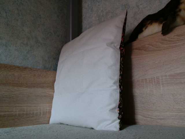 OXOTA-