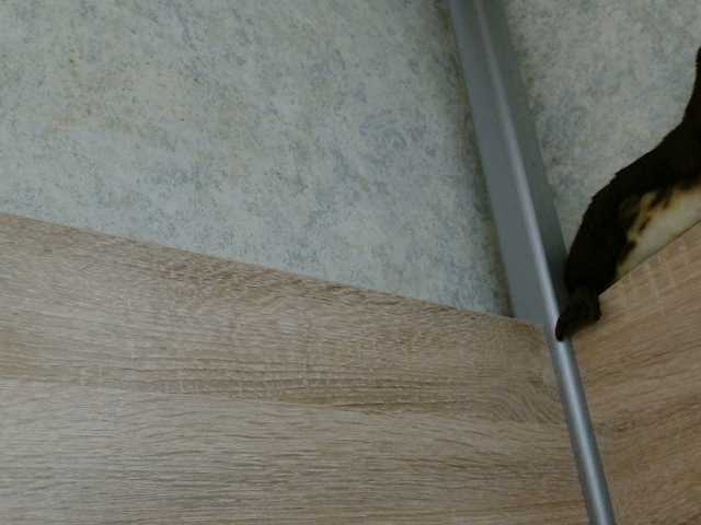 OXOTA-