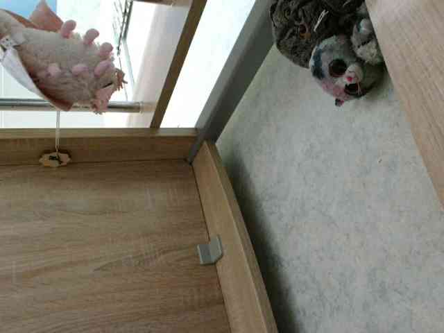 OXOTA- webcam