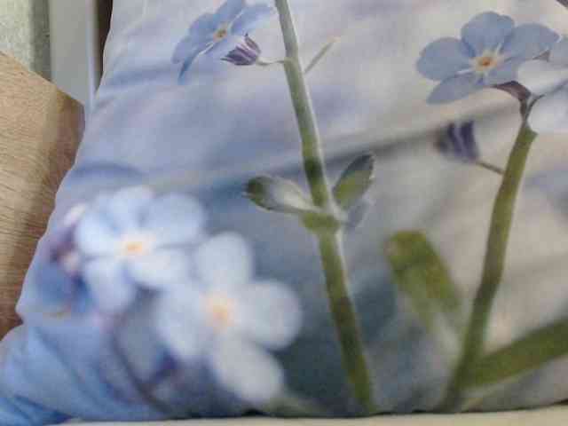 OXOTA- webcam