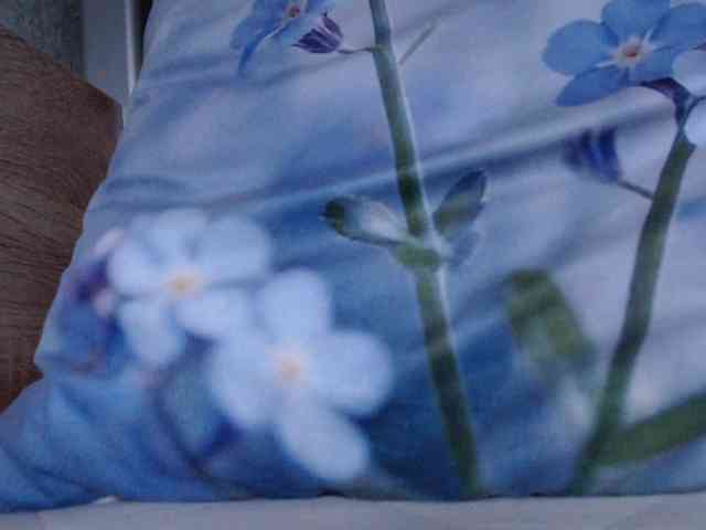 OXOTA- webcam