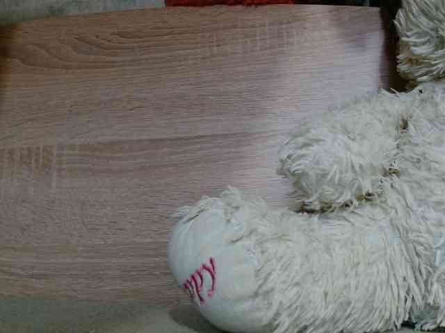 OXOTA- webcam