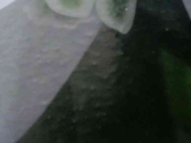 OXOTA- webcam