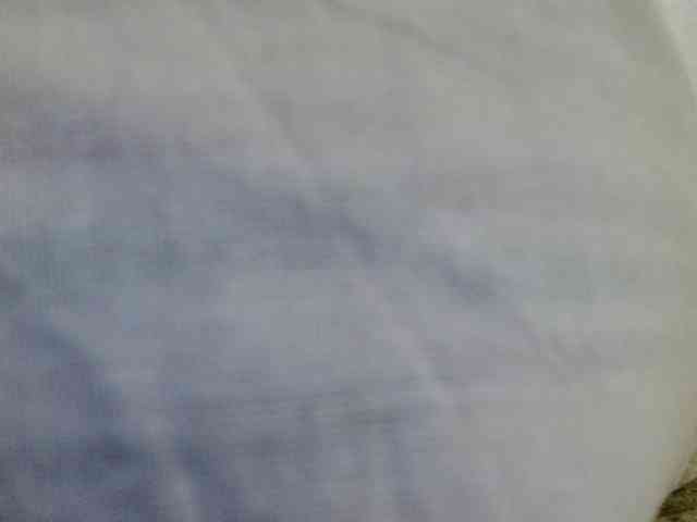 OXOTA- webcam