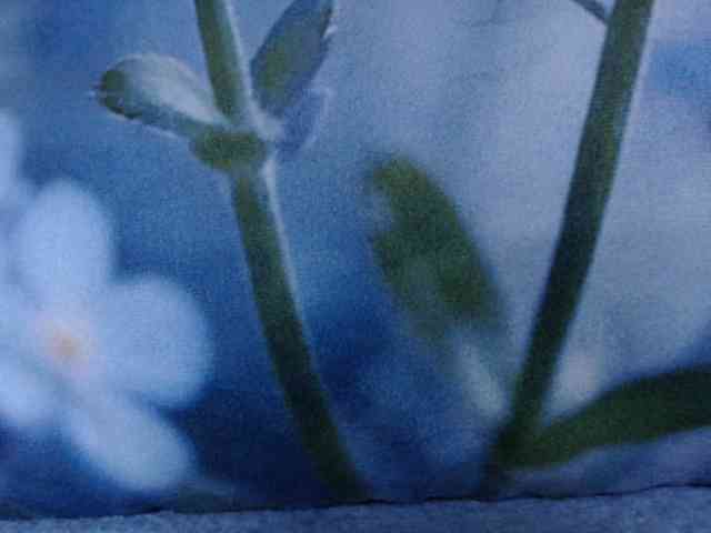 OXOTA- webcam