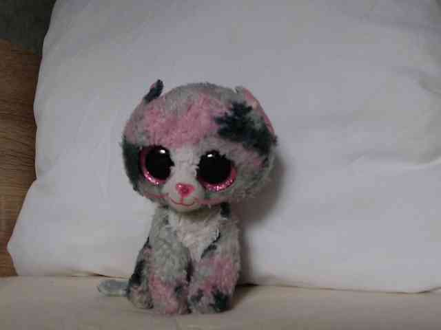 OXOTA-