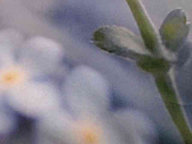 OXOTA- webcam