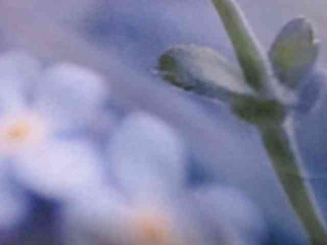OXOTA- webcam