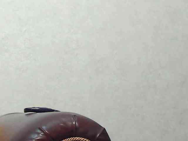 Drakulaura1 webcam