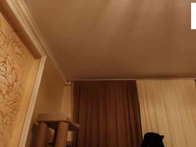 saintdemons webcam