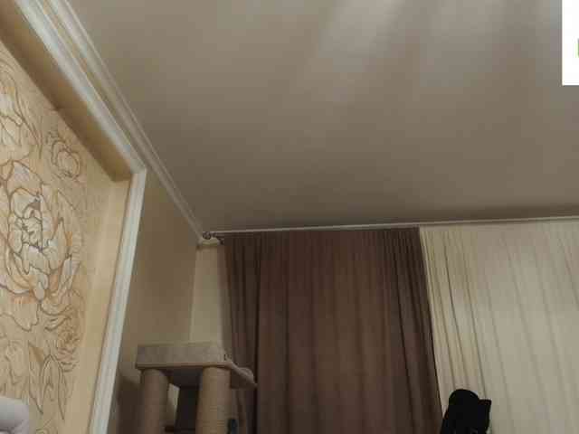 saintdemons webcam