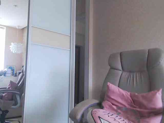 PureDreame webcam