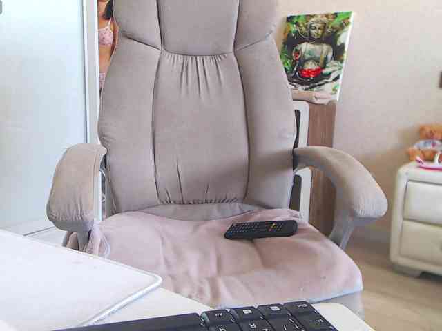 PureDreame webcam