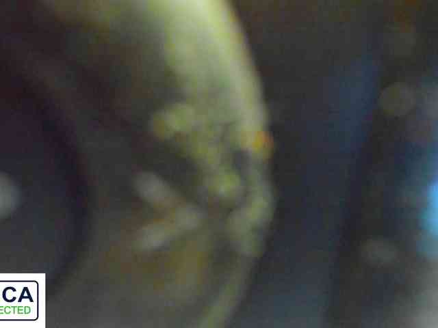 xoralamoralx webcam
