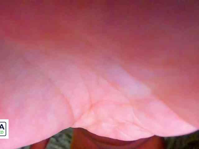 xoralamoralx webcam