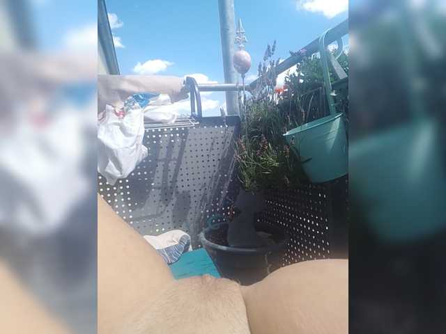 ladywet