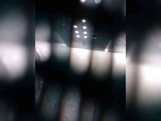 ladywet webcam