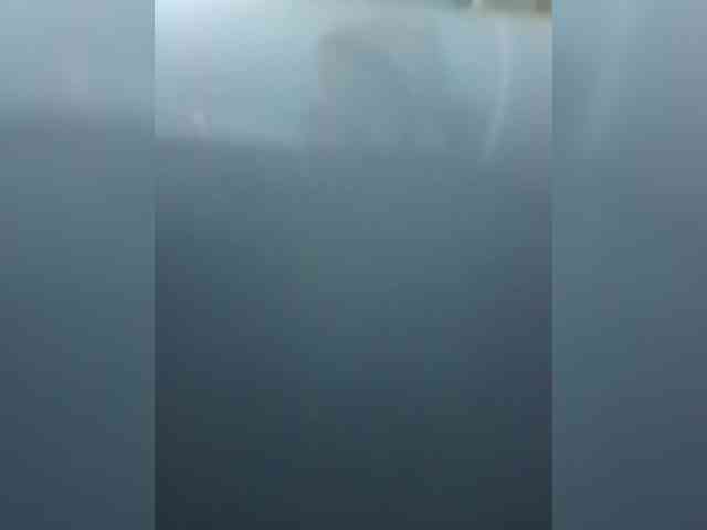 ladywet webcam