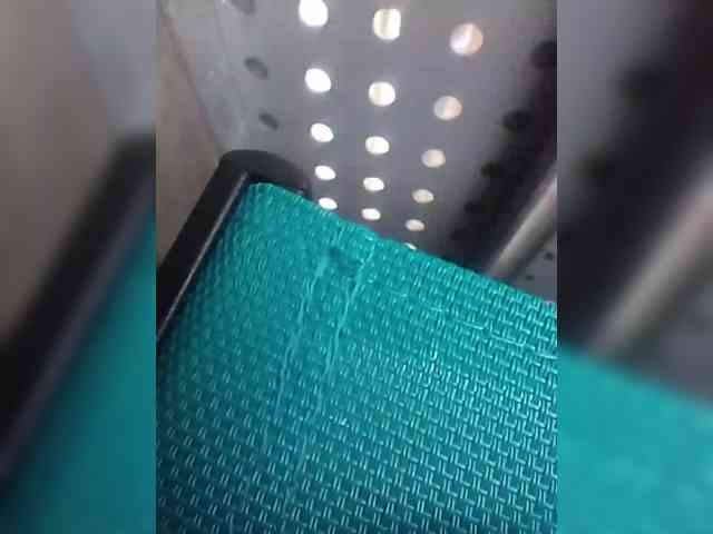 ladywet webcam