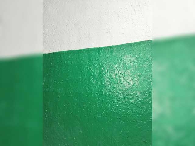 pevicha