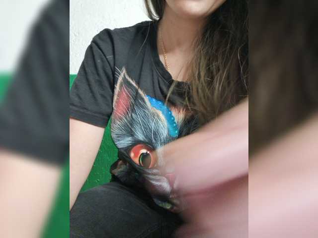 pevicha live cam on BongaCams