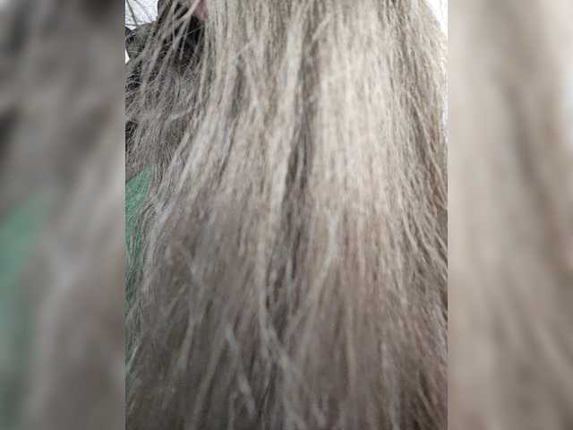 pevicha
