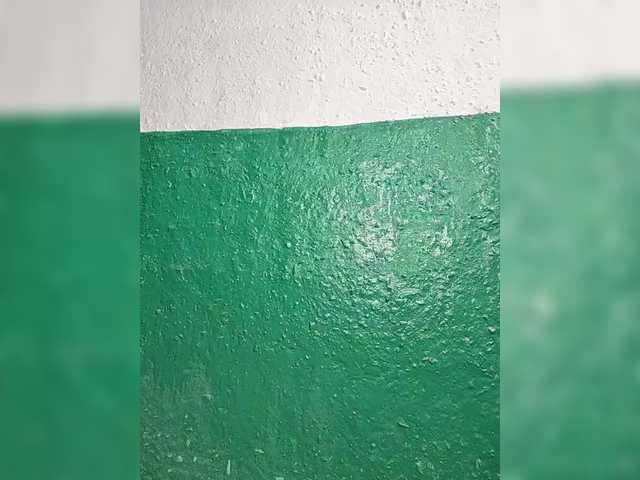 pevicha