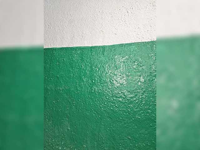 pevicha