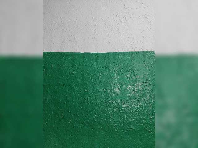 pevicha