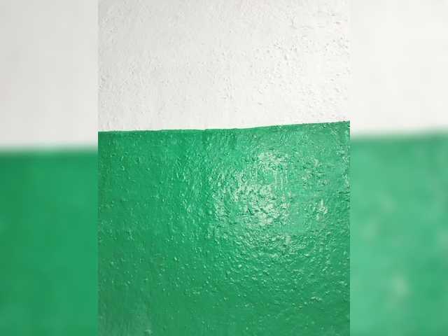 pevicha