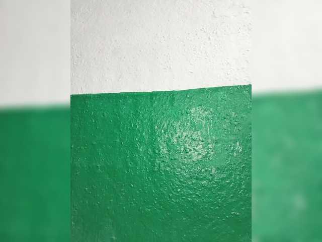 pevicha