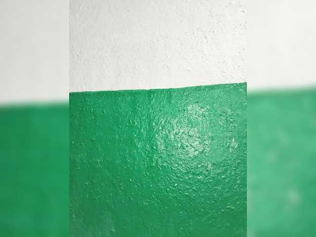 pevicha