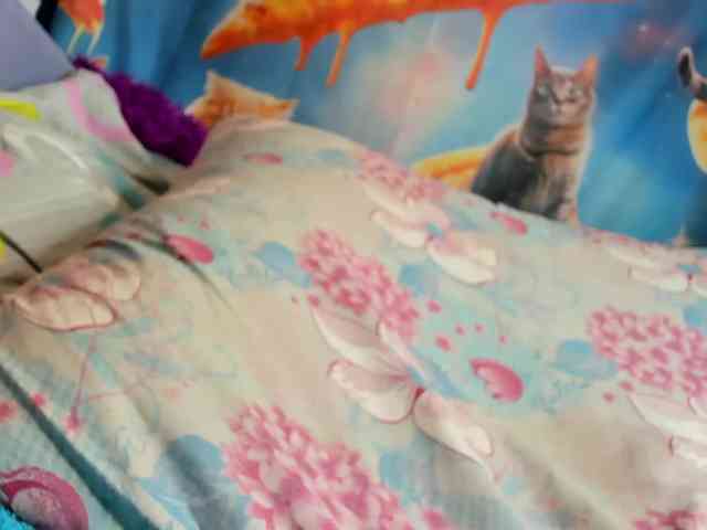 KOTENOCHEK_SEXY_KISA webcam
