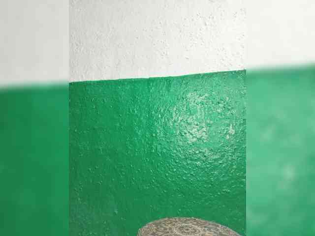 pevicha