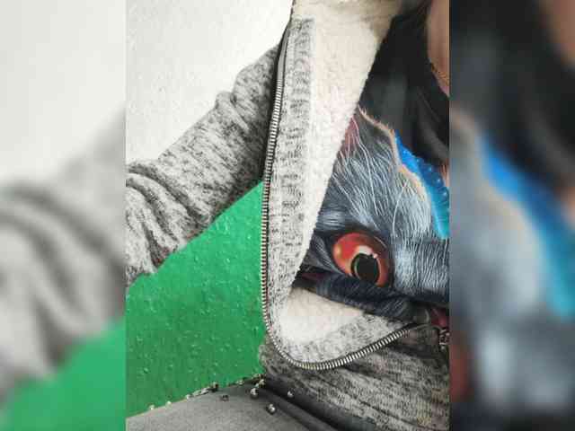 KOTENOCHEK_SEXY_KISA webcam