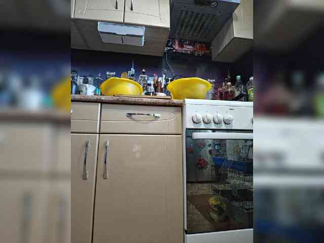 kotenochek_sexy_kisa's live room