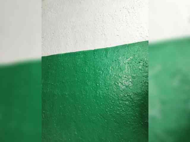 pevicha