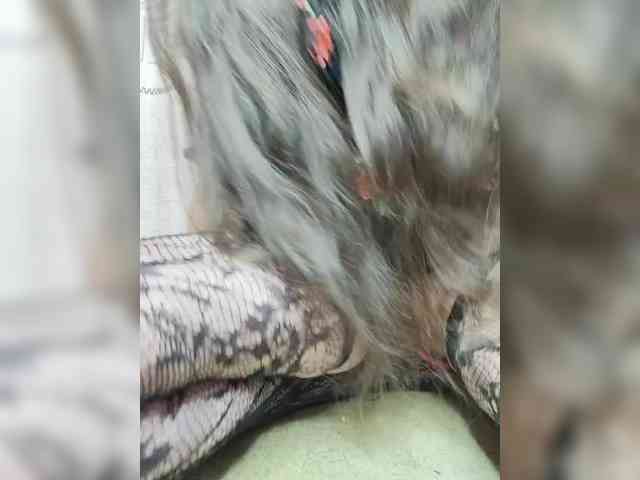 KOTENOCHEK_SEXY_KISA webcam