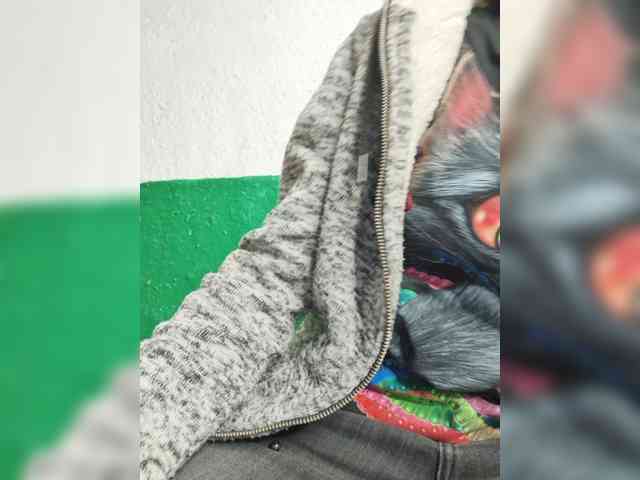 pevicha