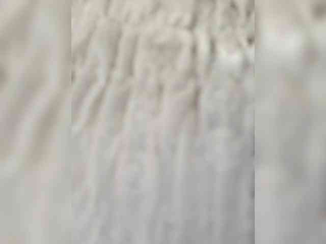 KOTENOCHEK_SEXY_KISA webcam