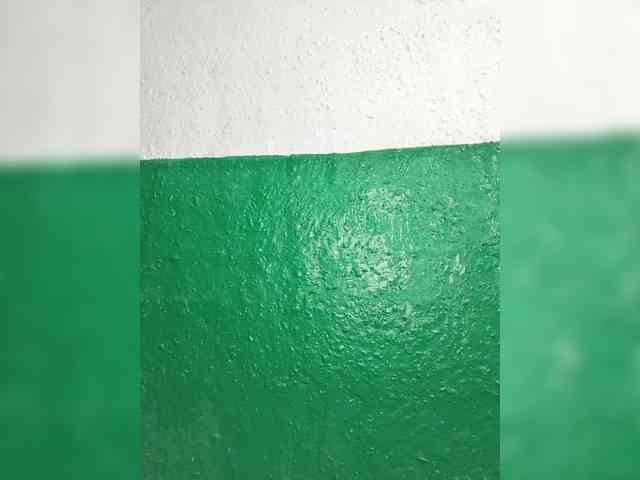 pevicha Sex Cam Show