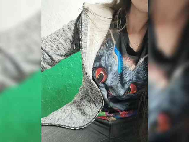 KOTENOCHEK_SEXY_KISA webcam